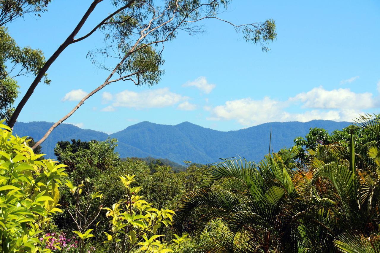 Bella Vista Bellingen Bed and Breakfast Exteriör bild